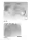 Fig. 33 - Human embryonic stem cell-derived connective tissue progenitors for tissue engineering