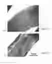 Fig. 35 - Human embryonic stem cell-derived connective tissue progenitors for tissue engineering