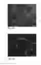 Fig. 37 - Human embryonic stem cell-derived connective tissue progenitors for tissue engineering