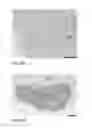 Fig. 39 - Human embryonic stem cell-derived connective tissue progenitors for tissue engineering