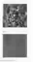 Fig. 02 - Method of forming tissue structure image of processed food or raw material for producing the same