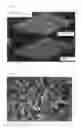 Fig. 06 - Method of forming tissue structure image of processed food or raw material for producing the same