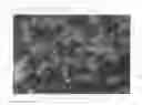 Fig. 07 - Method of forming tissue structure image of processed food or raw material for producing the same