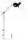 Fig. 06 - SWING SPINAL ANGLE RETENTION AND HEAD MOVEMENT PREVENTION SYSTEM AND METHOD