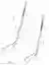 Fig. 02 - Hockey stick