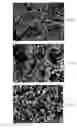 Fig. 03 - Regenerable adsorption unit