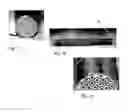 Fig. 04 - Regenerable adsorption unit