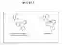 Fig. 04 - Compositions and methods for treating inflammatory conditions of the bowel
