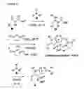 Fig. 02 - Scaffold-diversified pyrrolidinone derivatives and their use