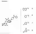 Fig. 10 - Scaffold-diversified pyrrolidinone derivatives and their use