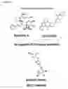 Fig. 13 - Scaffold-diversified pyrrolidinone derivatives and their use