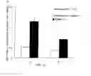 Fig. 03 - Aqueous liquid preparation having improved intraocular gatifloxacin penetration