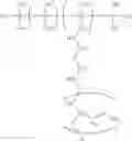 Fig. 52 - Polyether-modified organopolysiloxane, diorganopolysiloxane-polyether block copolymer, their production methods, and cosmetic preparation