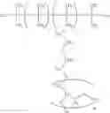 Fig. 54 - Polyether-modified organopolysiloxane, diorganopolysiloxane-polyether block copolymer, their production methods, and cosmetic preparation