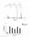 Fig. 04 - Methods for the synthesis of dicarba bridges in organic compounds