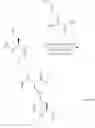 Fig. 136 - Methods for the synthesis of dicarba bridges in organic compounds