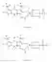 Fig. 05 - Zwitterionic dyes for labeling in proteomic and other biological analyses
