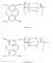 Fig. 07 - Zwitterionic dyes for labeling in proteomic and other biological analyses