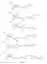 Fig. 09 - Zwitterionic dyes for labeling in proteomic and other biological analyses