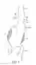Fig. 02 - STENT GRAFT DELIVERY SYSTEM