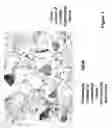 Fig. 02 - Composition for a tissue repair implant and methods of making the same