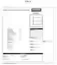 Fig. 07 - Customer-specific merchandising program