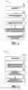 Fig. 03 - QUERY PROCESSING USING HORIZONTAL PARTIAL COVERING JOIN INDEX