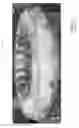 Fig. 02 - Method for correcting downstream deflection in gas turbine nozzles