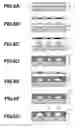 Fig. 07 - Liquid discharge head and manufacturing method of the same