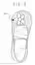 Fig. 07 - Multi-point decorative shoe system