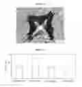 Fig. 07 - Cutting tool