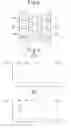 Fig. 07 - Exhaust purification apparatus of internal combustion engine