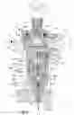 Fig. 05 - Fuel injector assembly and internal combustion engine comprising such an assembly
