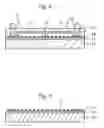 Fig. 08 - Surface acoustic wave device and method of fabricating the same