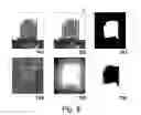 Fig. 09 - Distortion of digital images using spatial offsets