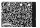 Fig. 01 - ERBIUM-CONTAINING ZIRCONIUM ALLOY, METHODS FOR PREPARING AND SHAPING THE SAME, AND STRUCTURAL COMPONENT CONTAINING SAID ALLOY.