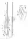 Fig. 06 - Telescoping member locking release device