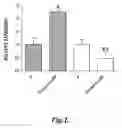 Fig. 02 - METHODS TO EVALUATE GLUCOCORTICOID RECEPTOR AGONISTS AND ANTAGONISTS FOR EFFECTS ON NEURON-LIKE CELLS