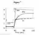 Fig. 09 - Conjugates of photo-activatable dyes
