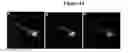 Fig. 18 - Conjugates of photo-activatable dyes