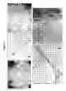 Fig. 02 - COMPOSITIONS AND METHODS USING STEM CELLS IN CUTANEOUS WOUND HEALING