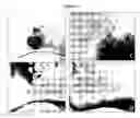 Fig. 09 - COMPOSITIONS AND METHODS USING STEM CELLS IN CUTANEOUS WOUND HEALING