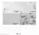 Fig. 10 - CELLS FOR THERAPY OF THE HEART, METHOD OF OBTAINING A CELL PREPARATION, AND CELL PREPARATION