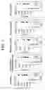 Fig. 02 - Agents for Promoting the Growth of Hematopoietic Stem Cells