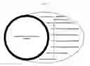 Fig. 02 - Live attenuated catfish vaccine and method of making