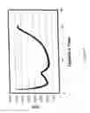 Fig. 07 - Intercalated layered silicate