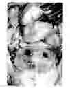 Fig. 01 - Fixation devices for tissue repair