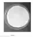 Fig. 02 - Collagen-based matrix for use as restorative material, and method for preparing the same