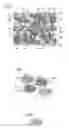 Fig. 02 - SOLID STATE BATTERY AND METHOD OF PRODUCING THE SAME