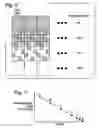 Fig. 05 - Error diffusion-derived sub-resolutional grayscale reticle